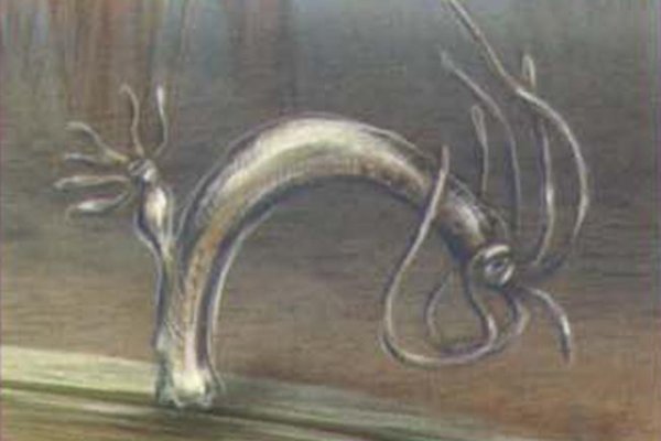 Кракен сайт 16