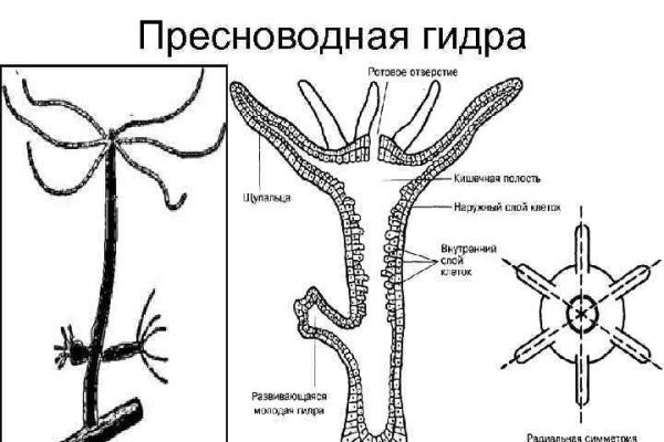 Кракен сайт закладок