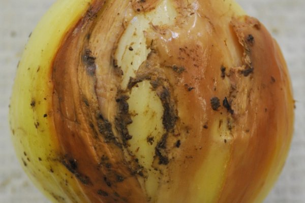 Kraken darknet market ссылка тор