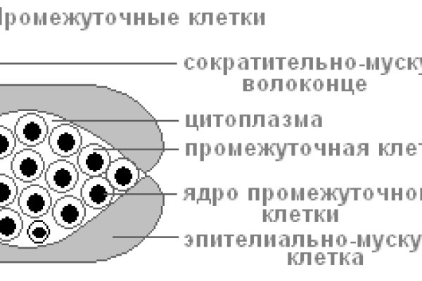 Kraken darknet market ссылка